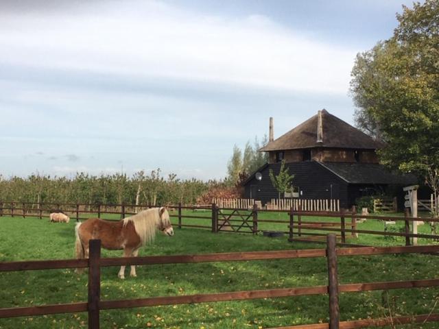 De Steltenberg In De Betuwe Zoelen Экстерьер фото